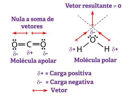 polaridade das moleculas - bluefit mogi das cruzes